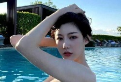 网红大鹅陈妍染,网红大鹅的逆袭之路