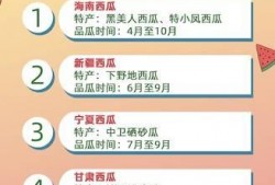 今日吃瓜文案 每日吃瓜 今日吃瓜网址免费,揭秘今日吃瓜热点，免费网址带你畅享瓜界盛宴